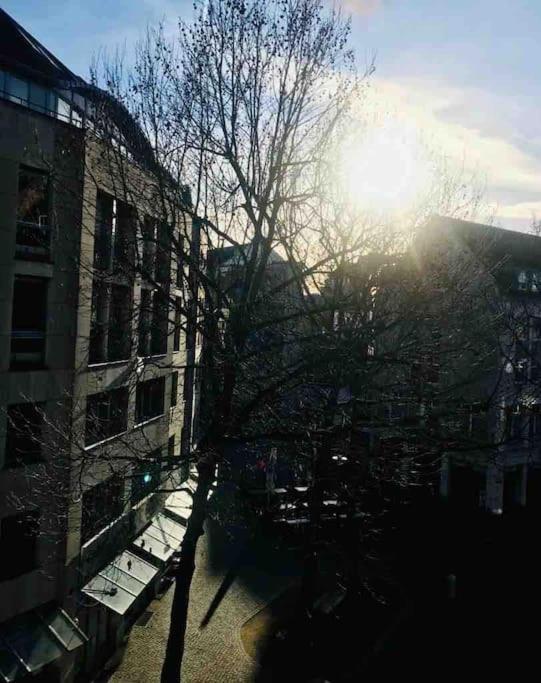 Charmantes 1Zi Apartment Im Herzen Von Braunschweig Mit Balkon Exterior foto